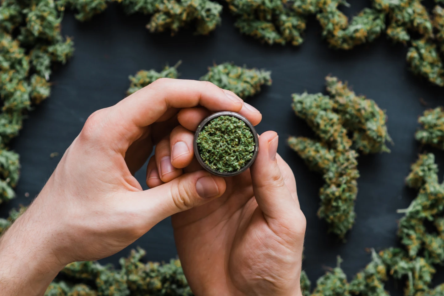 afar press - Wake-N-Bakery Chicago cannabis coffee shop