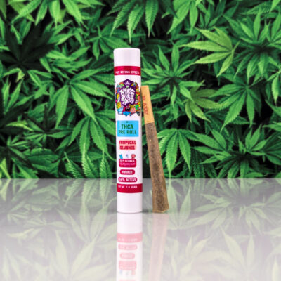 THCA Pre-Roll - Tropical Slushie